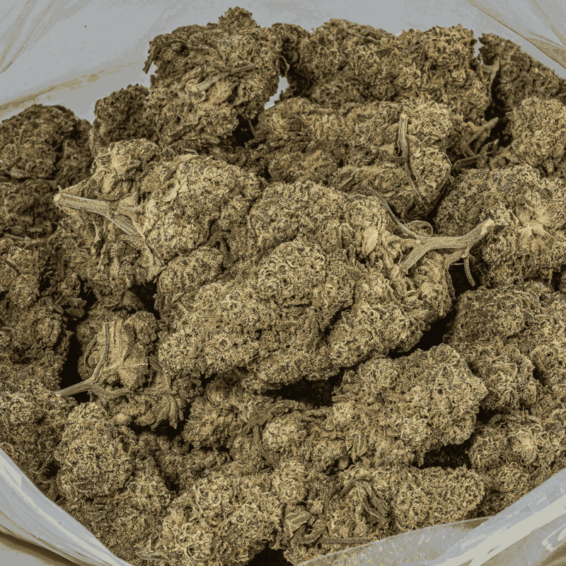 Nuken (AA+) - Image 4