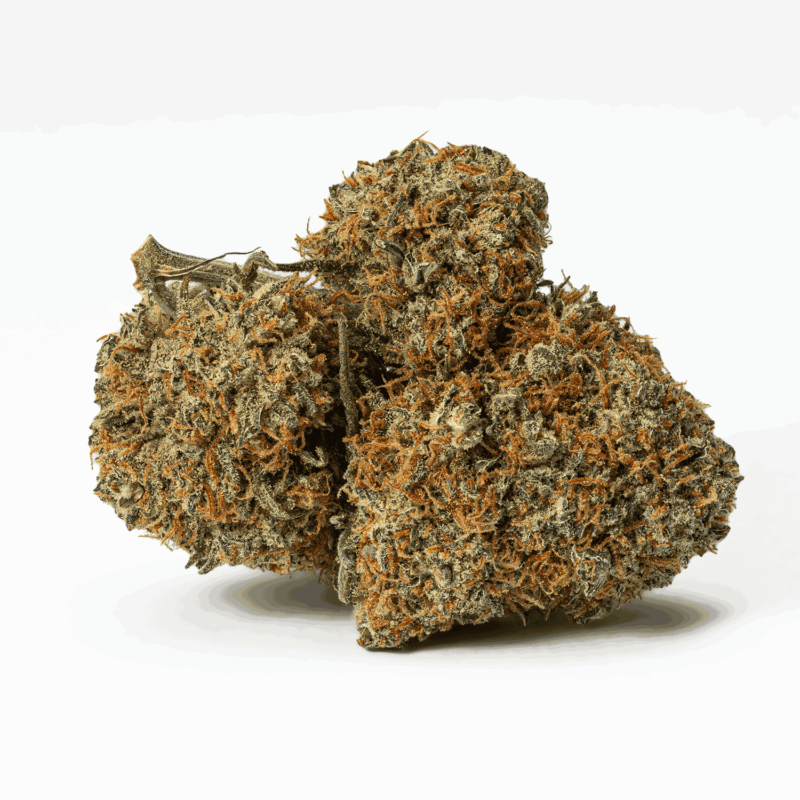 Blackberry Jam (AA+) - Image 3