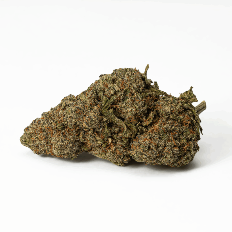 Flintstones (AA+) - Image 3