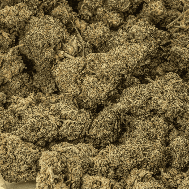 Flintstones (AA+) - Image 4