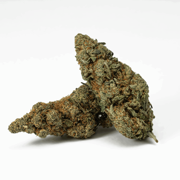 Frosty (AA+)