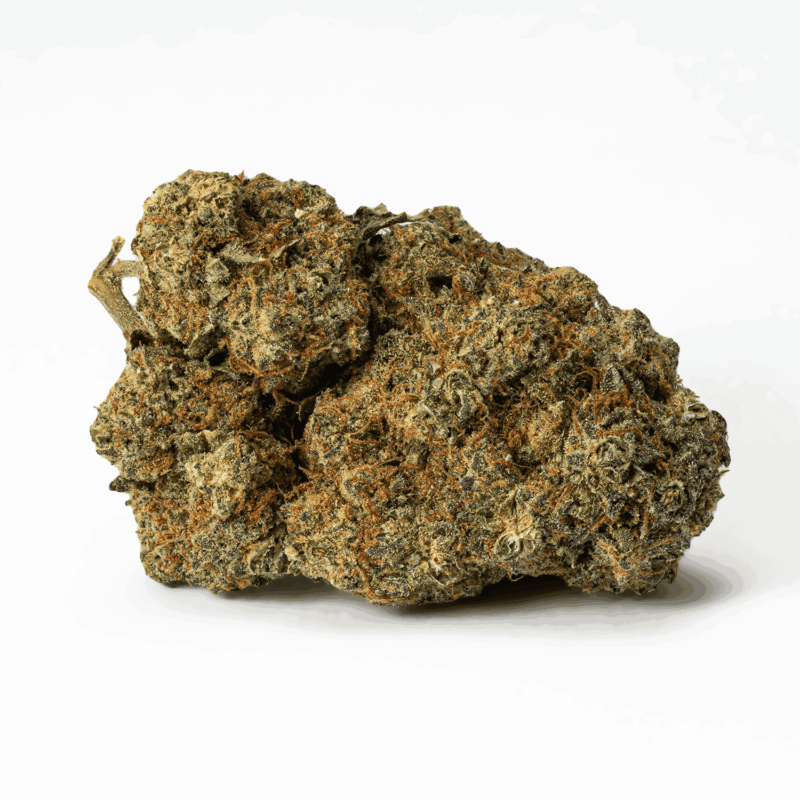 Papaya (AAA) - Image 3
