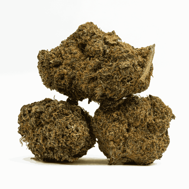 Agent Orange (AA) - Image 2