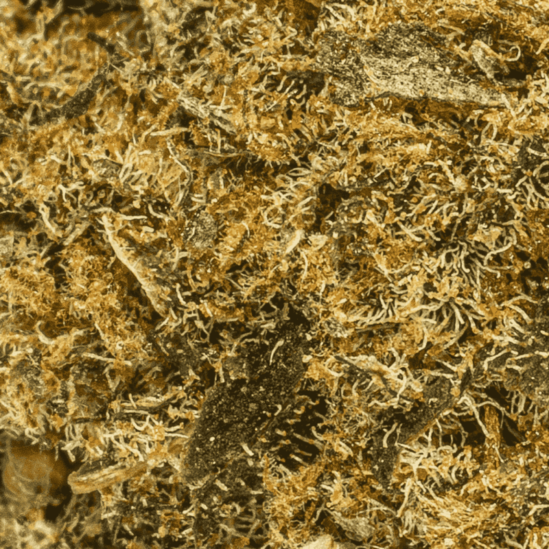 Agent Orange (AA) - Image 5