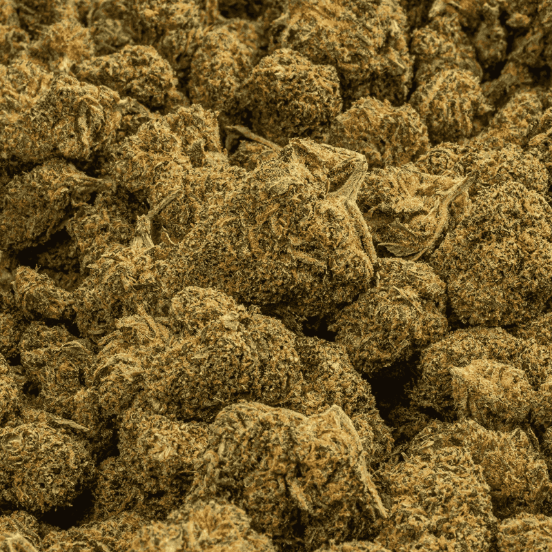 Agent Orange (AA) - Image 4