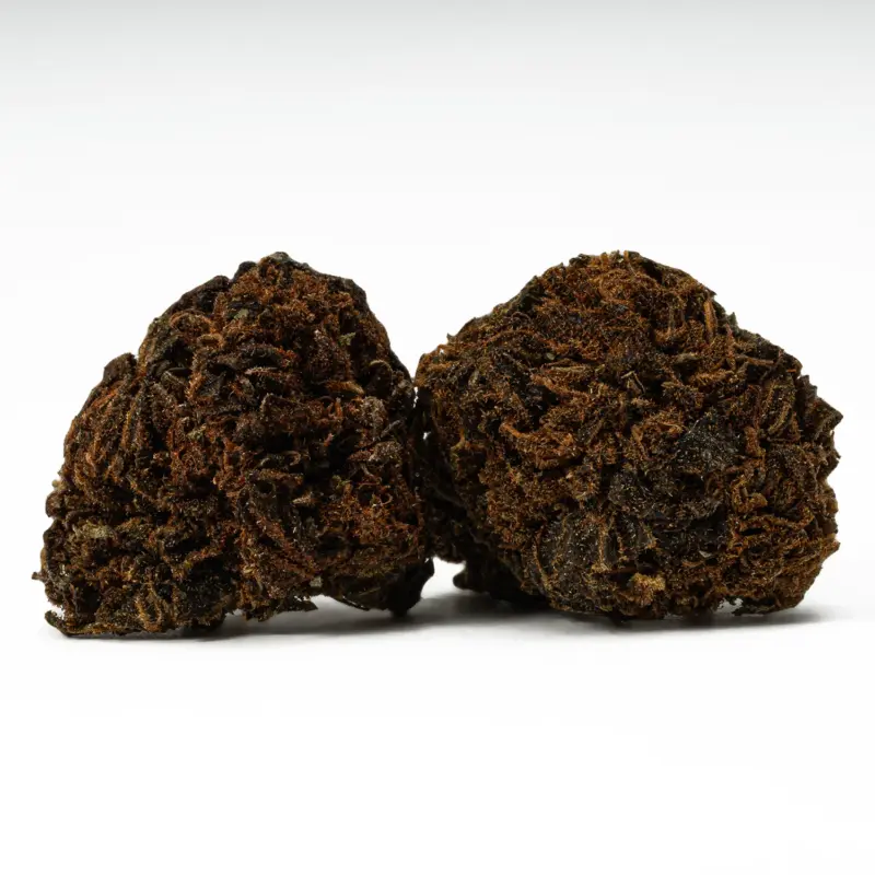 Irish Cream (A) - Image 2