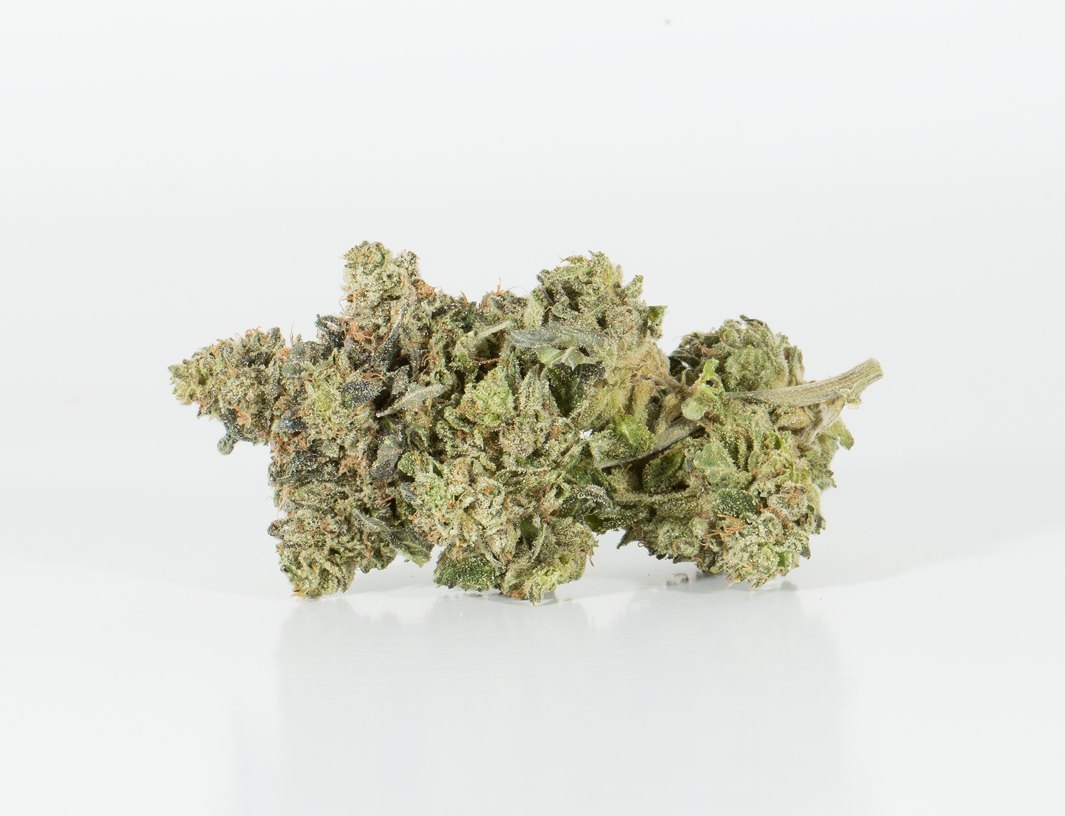 Northern Lights (AAA)