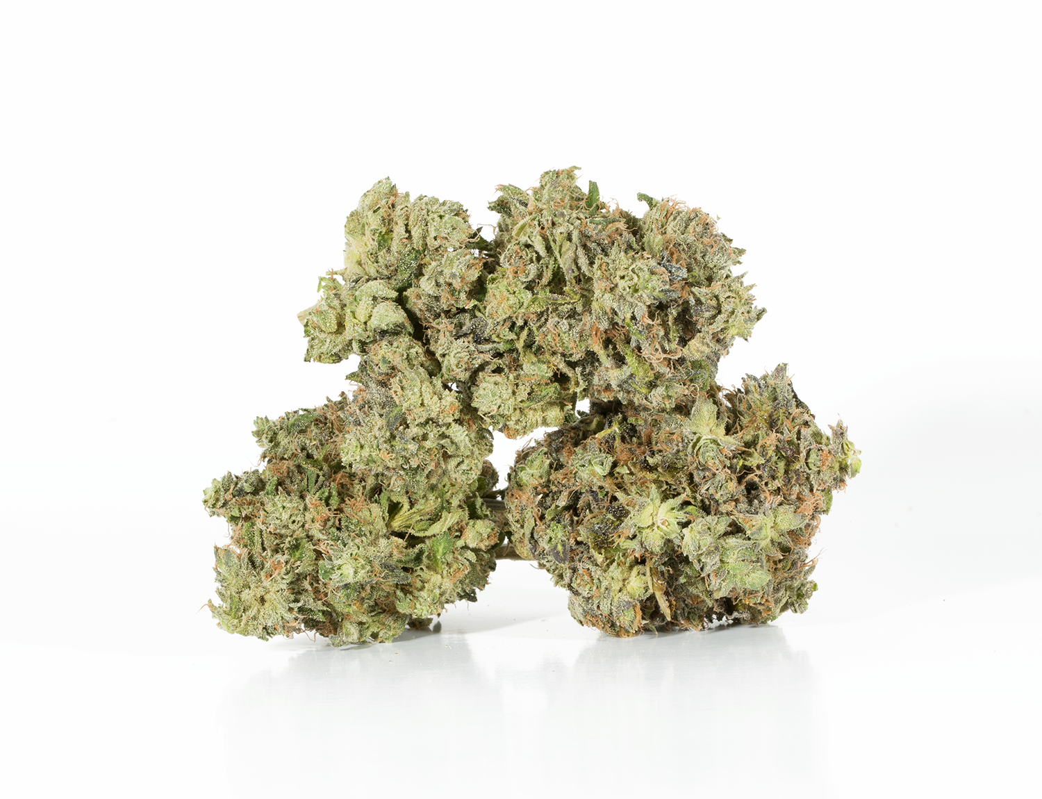 Primus (AAA+) - Image 4