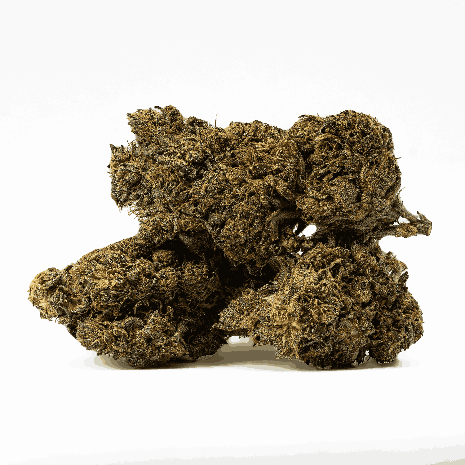 Black Jesus (AAA+) - Image 2