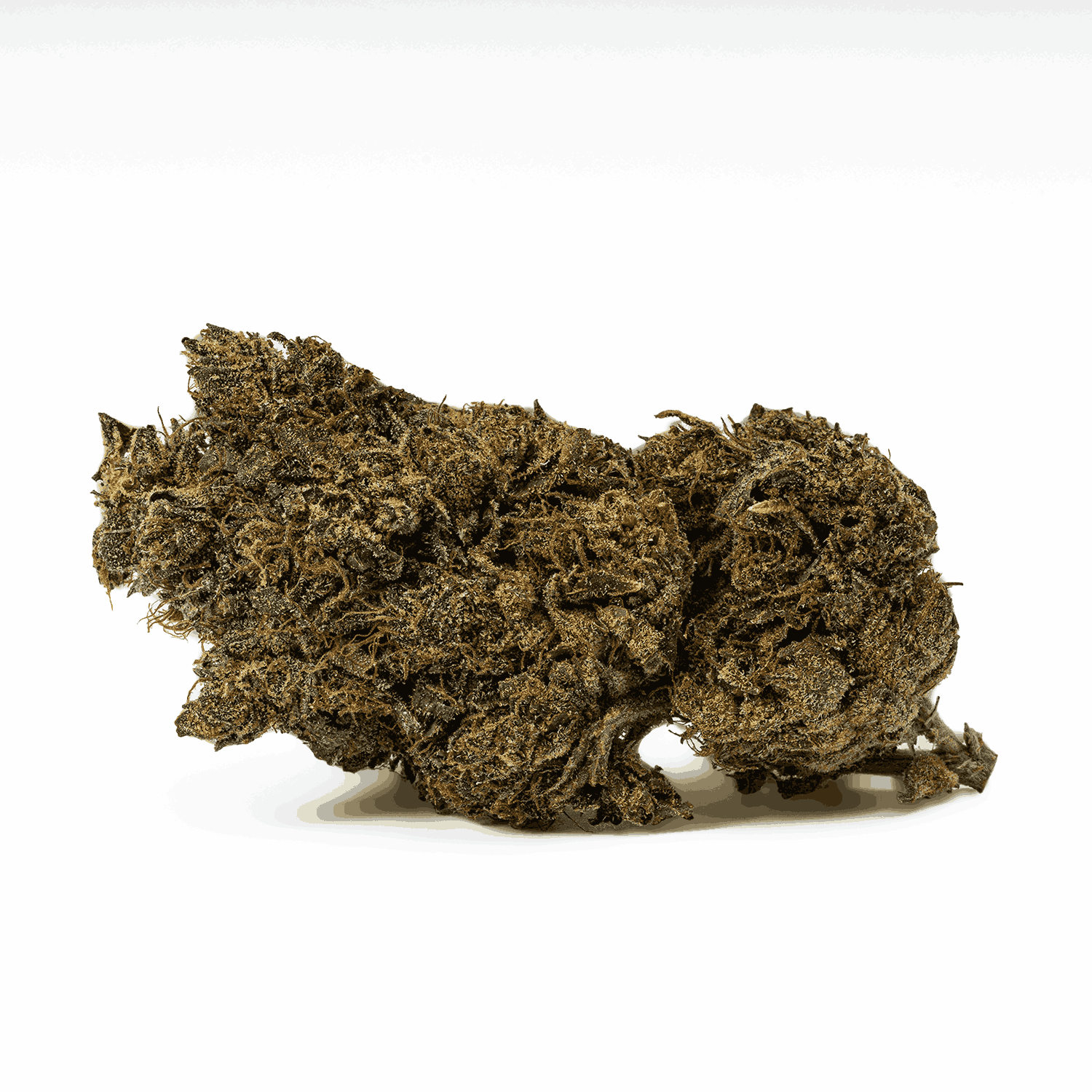 Black Jesus (AAA+) - Image 3