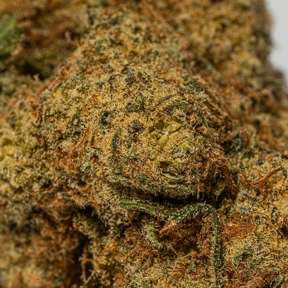 Alien Mints (AA) - Image 3