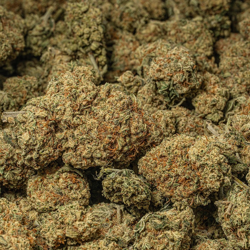 Blue Dream (AA) - Image 5