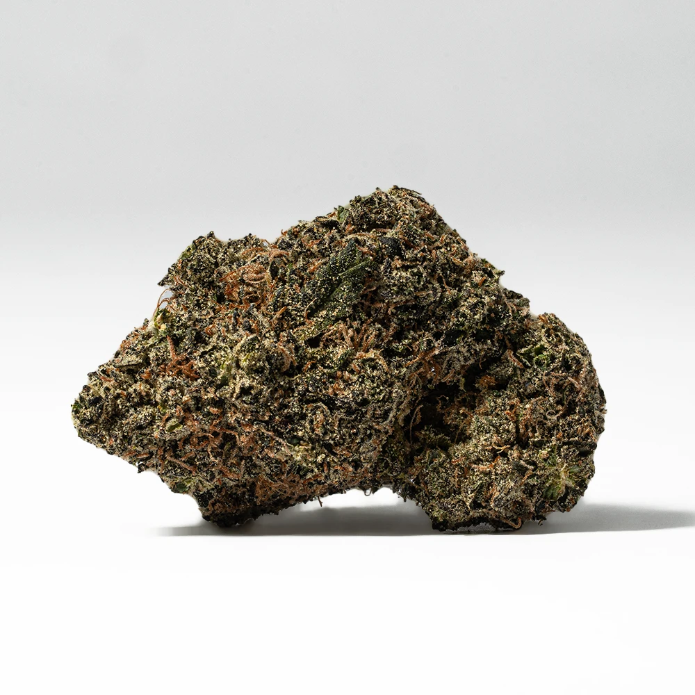 Citrus Skunk (AAA) - Image 3