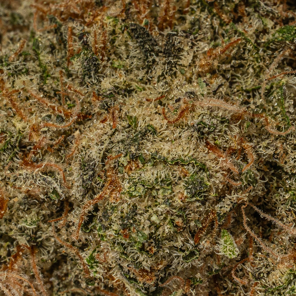 Peyote Cookies (AAAA) - Image 5