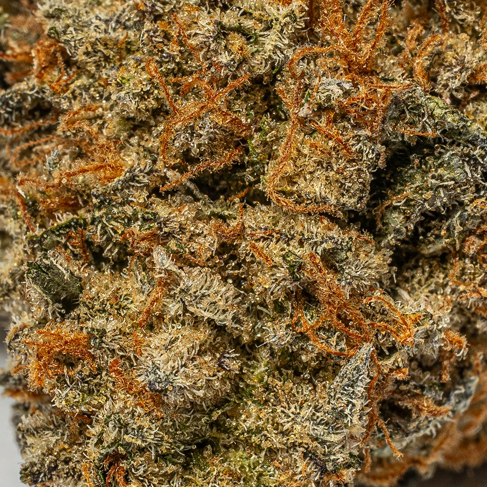 Sunburst (AA+) - Image 5