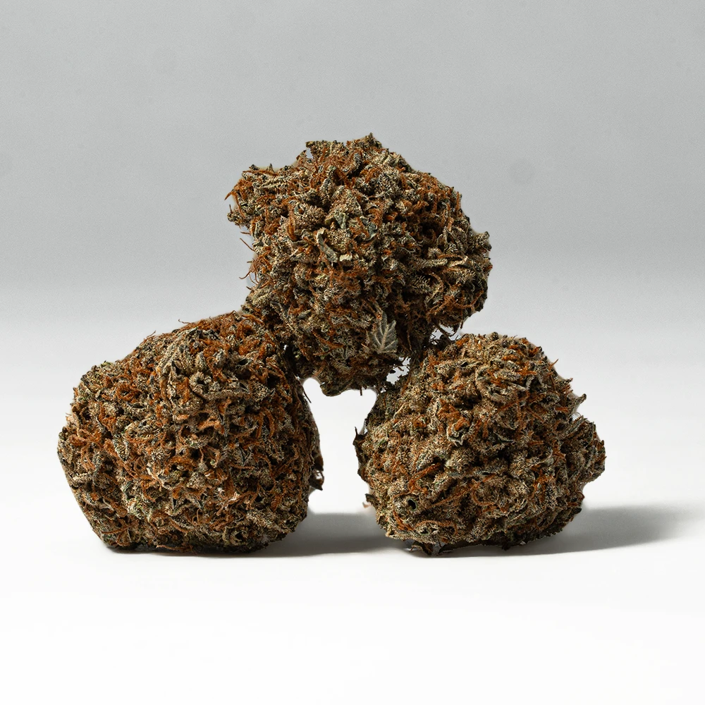 Wookies (AA) - Image 3