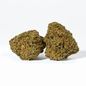 Alternative view of Night Nurse (AA)