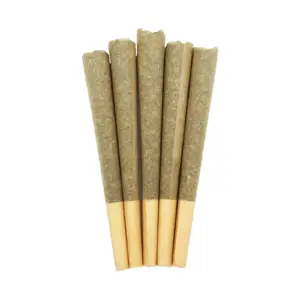 Premium 1g House Joints (Craft) - 5 Pack