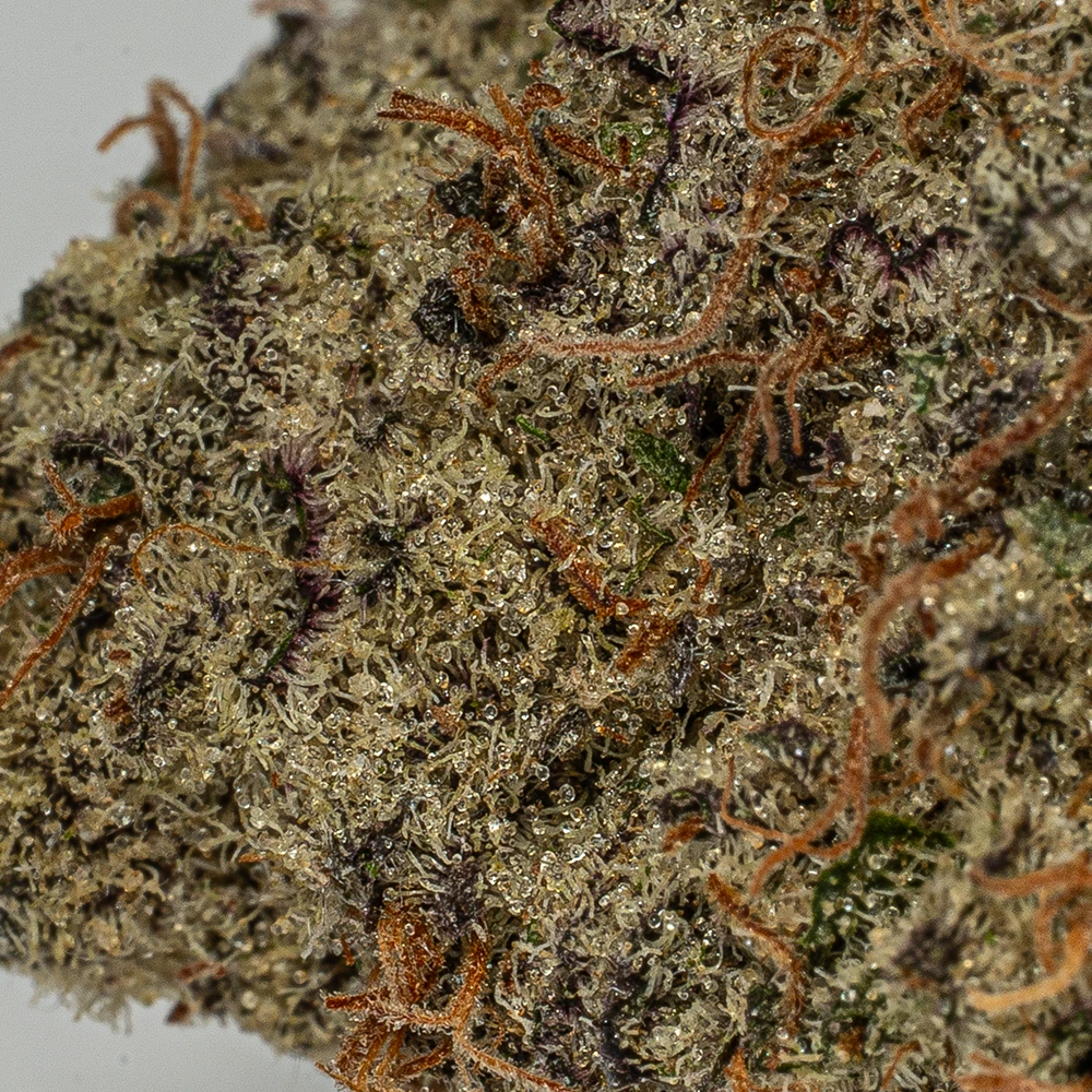 Raspberry Punch (AAA+) - Image 4