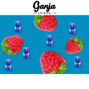 Alternative view of Ganja Bears (150mg THC) - Blue Raspberry