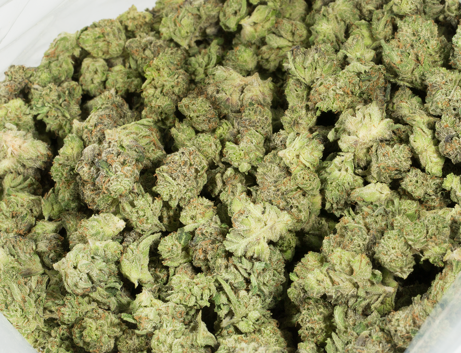 Godfather OG Smalls (AAAA) - Image 4