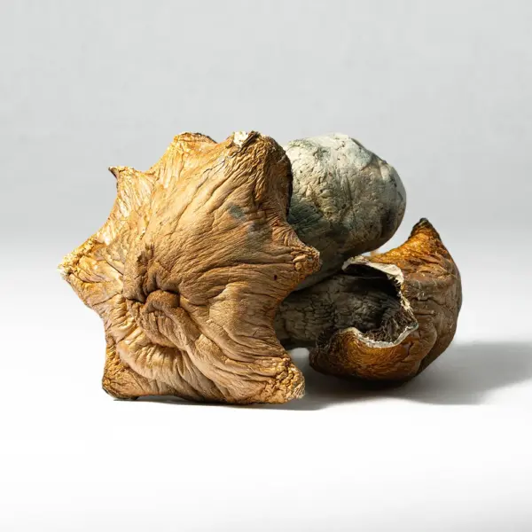 Hillbilly Pumpkin Mushrooms