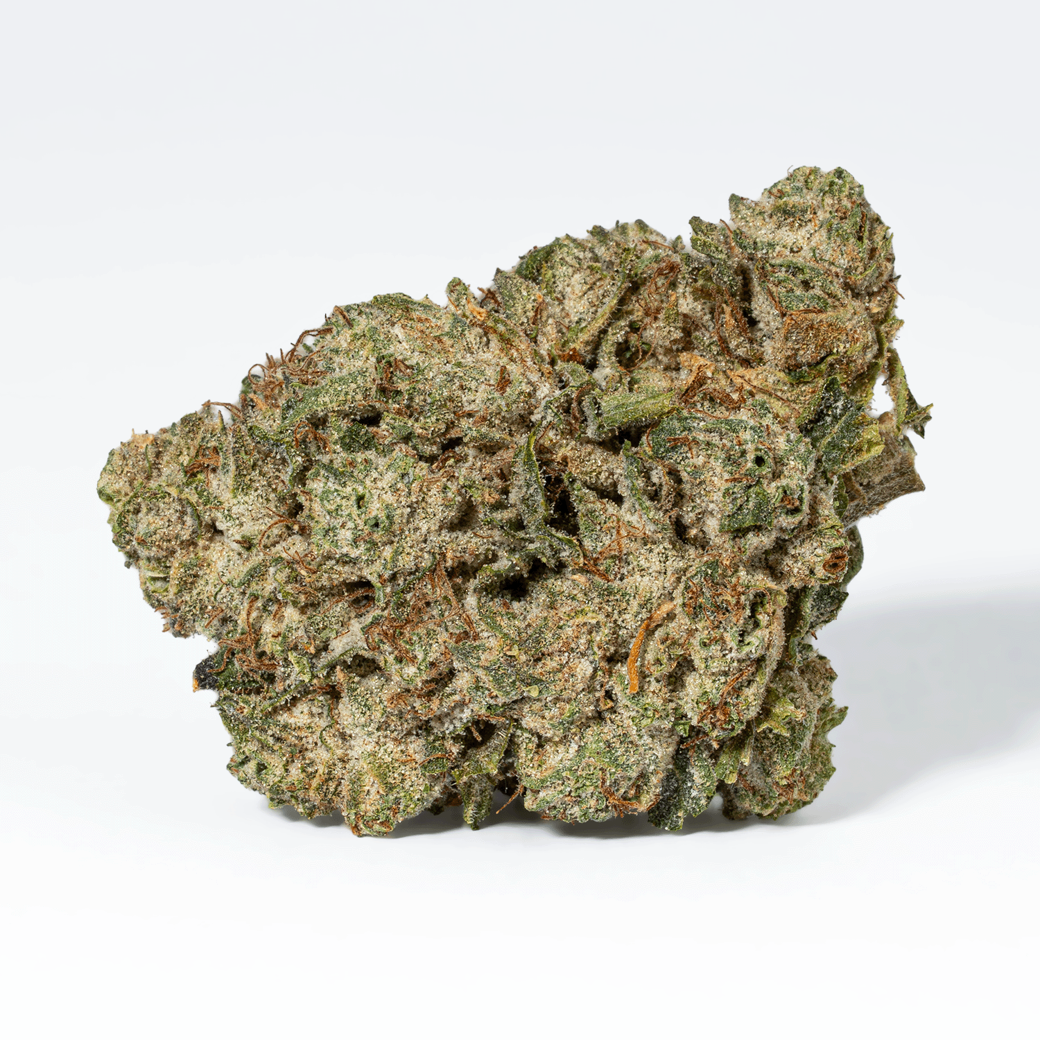 Banana Jelly (AA) - Image 3