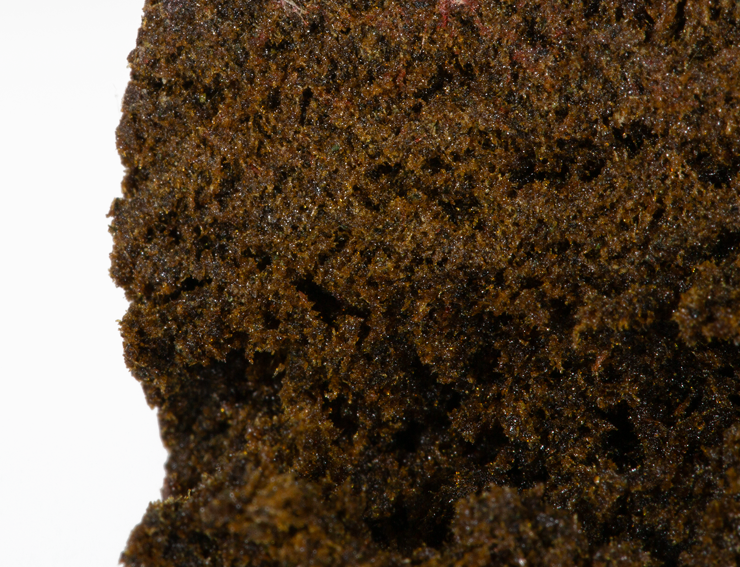 Medicine Hash - Image 3