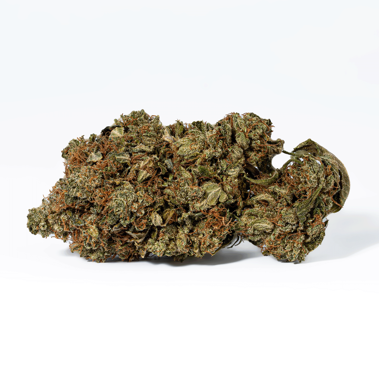 Grease Monkey (AA) - Image 3