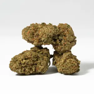 Alternative view of Orange Octane (AA)