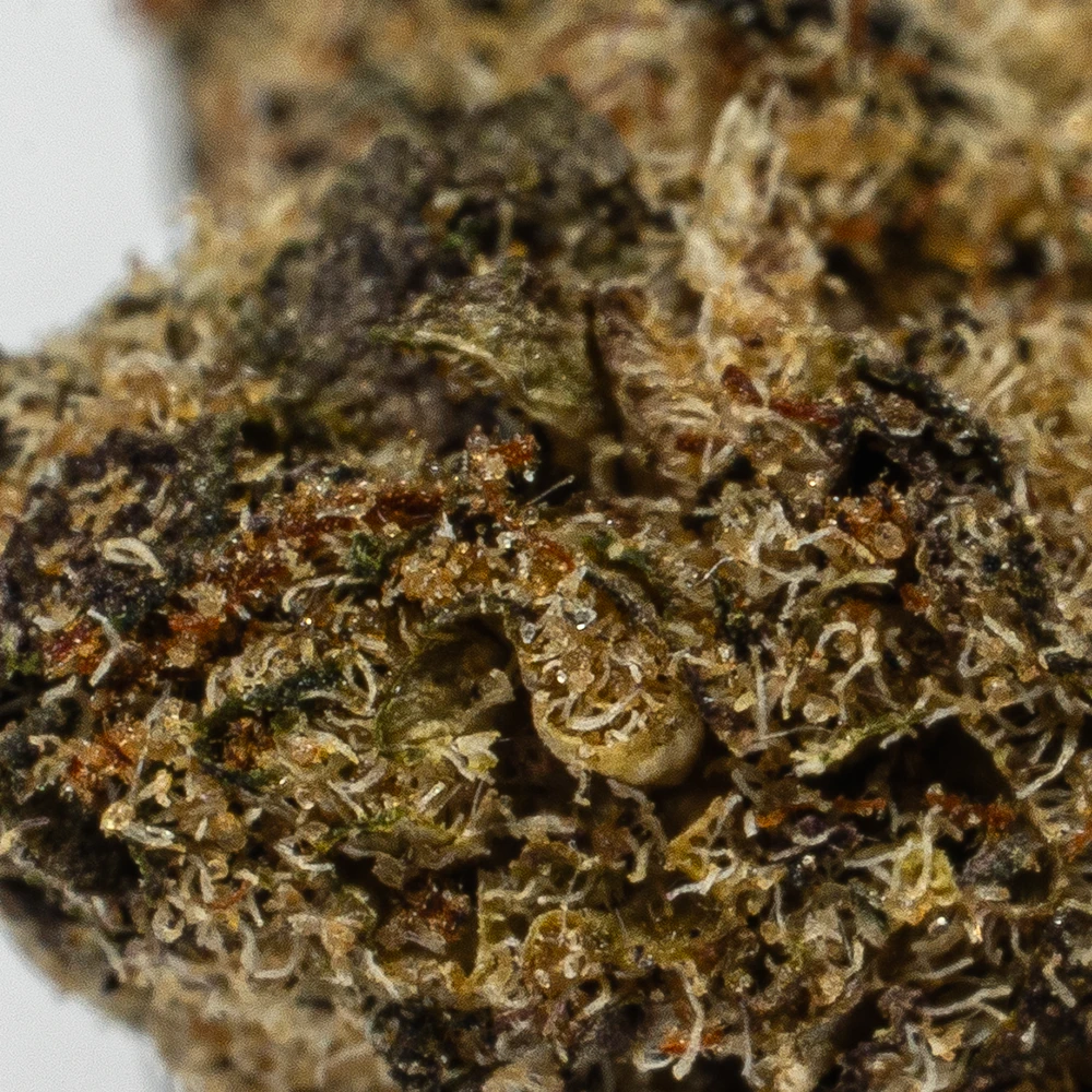 Oreoz Smalls (AA) - Image 4