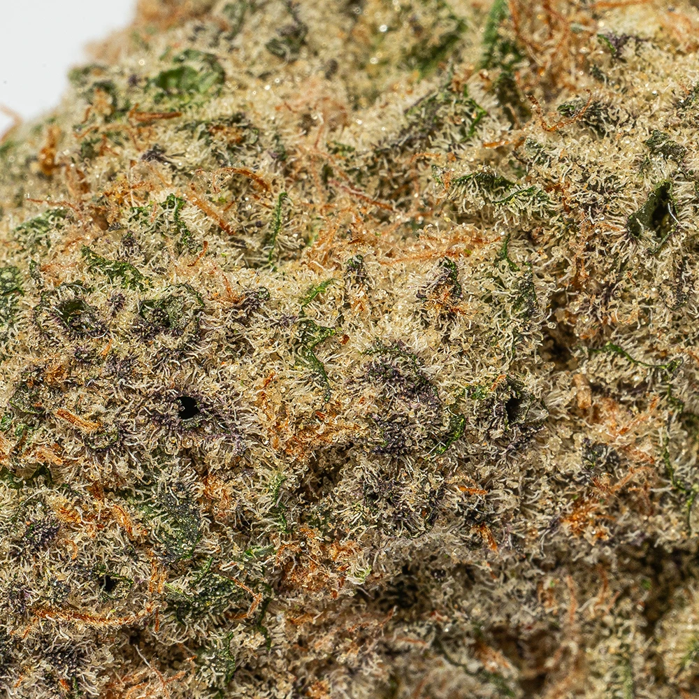 Peach Colada (AAAA+) - Image 4