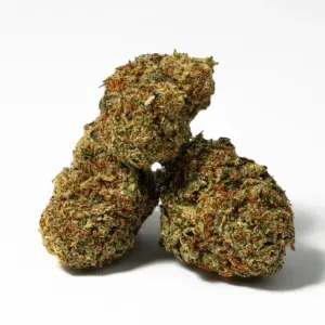 Alternative view of Penelope (AA)