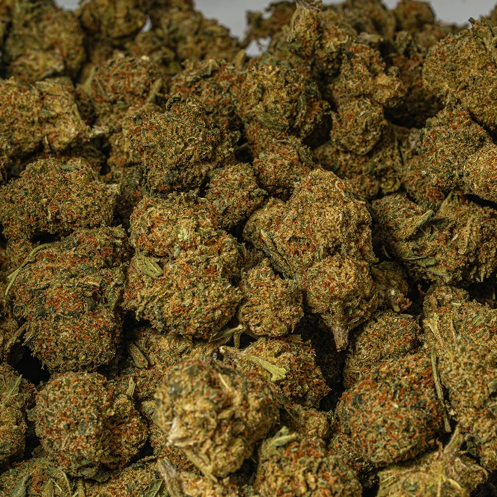 Penelope (AA) - Image 5