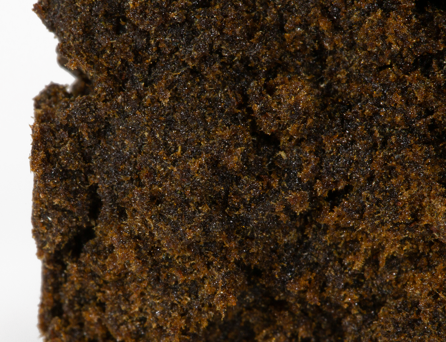 Palm Tree Hash - Image 3