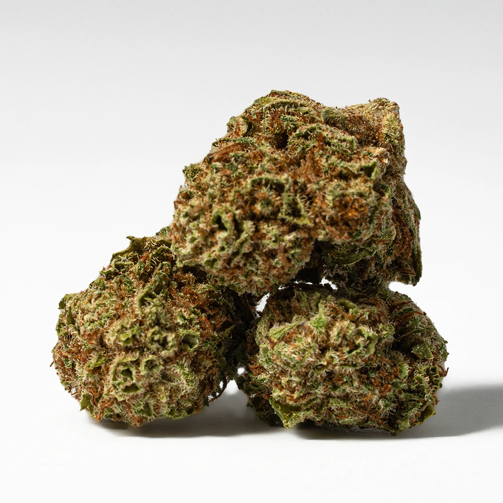 Raspberry Parfait Smalls (AA) - Image 3