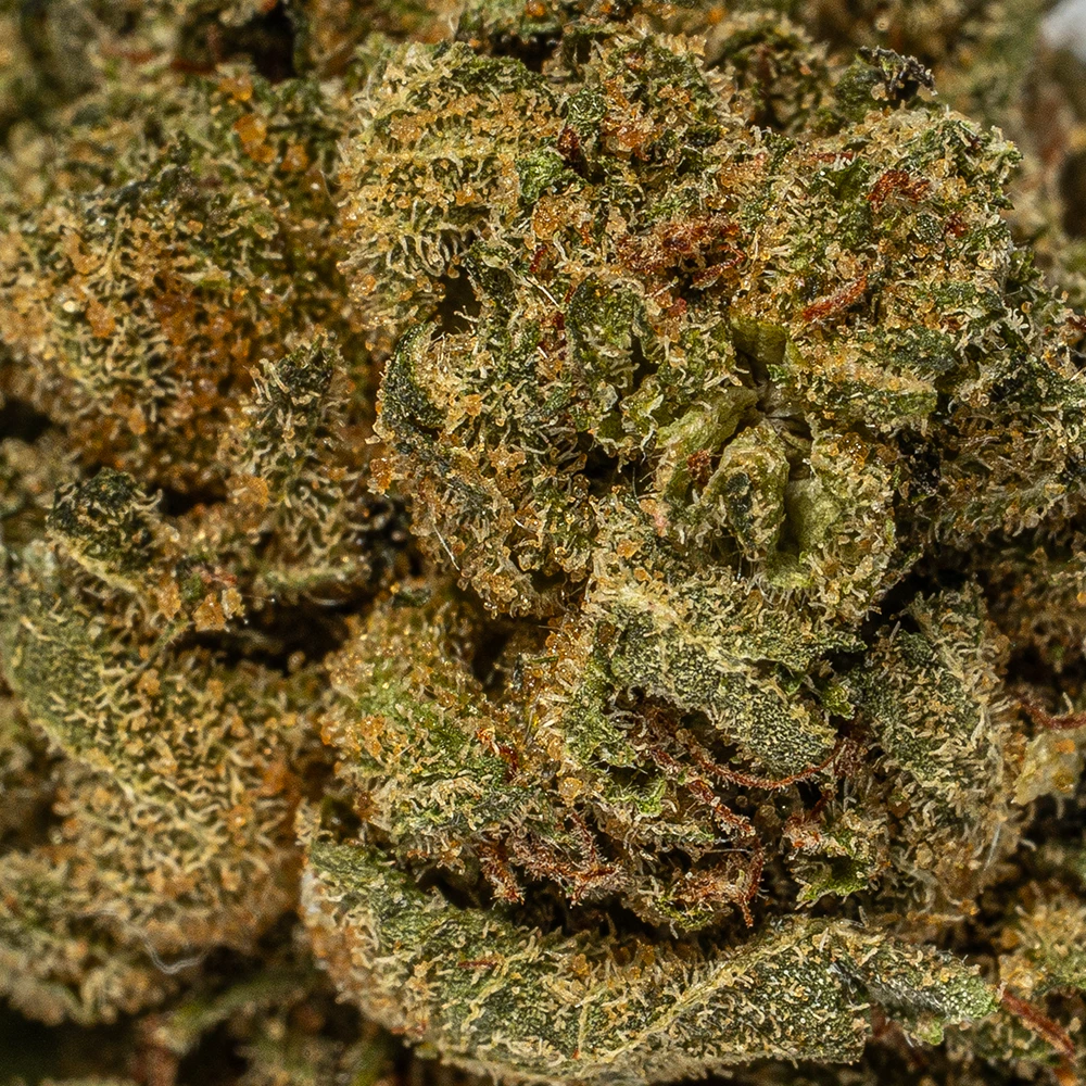 Red Octane Smalls (AA) - Image 5