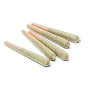 Alternative view of Scout - 5 Pack Pre-Rolls (0.5g) - Indica