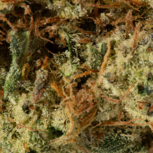 Alternative view of Triple Berry (AAA)