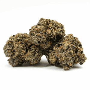 Alternative view of Dank Schrader (AAAA)