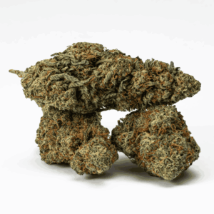 Alternative view of Frosty (AA+)