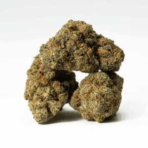 Alternative view of Papaya (AAA)