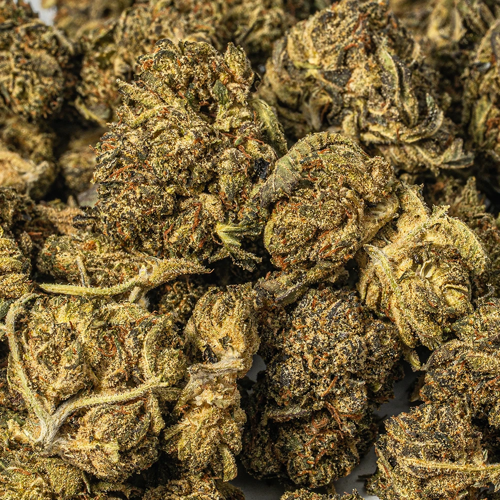 El Chapo Smalls (AAAA) - Image 5