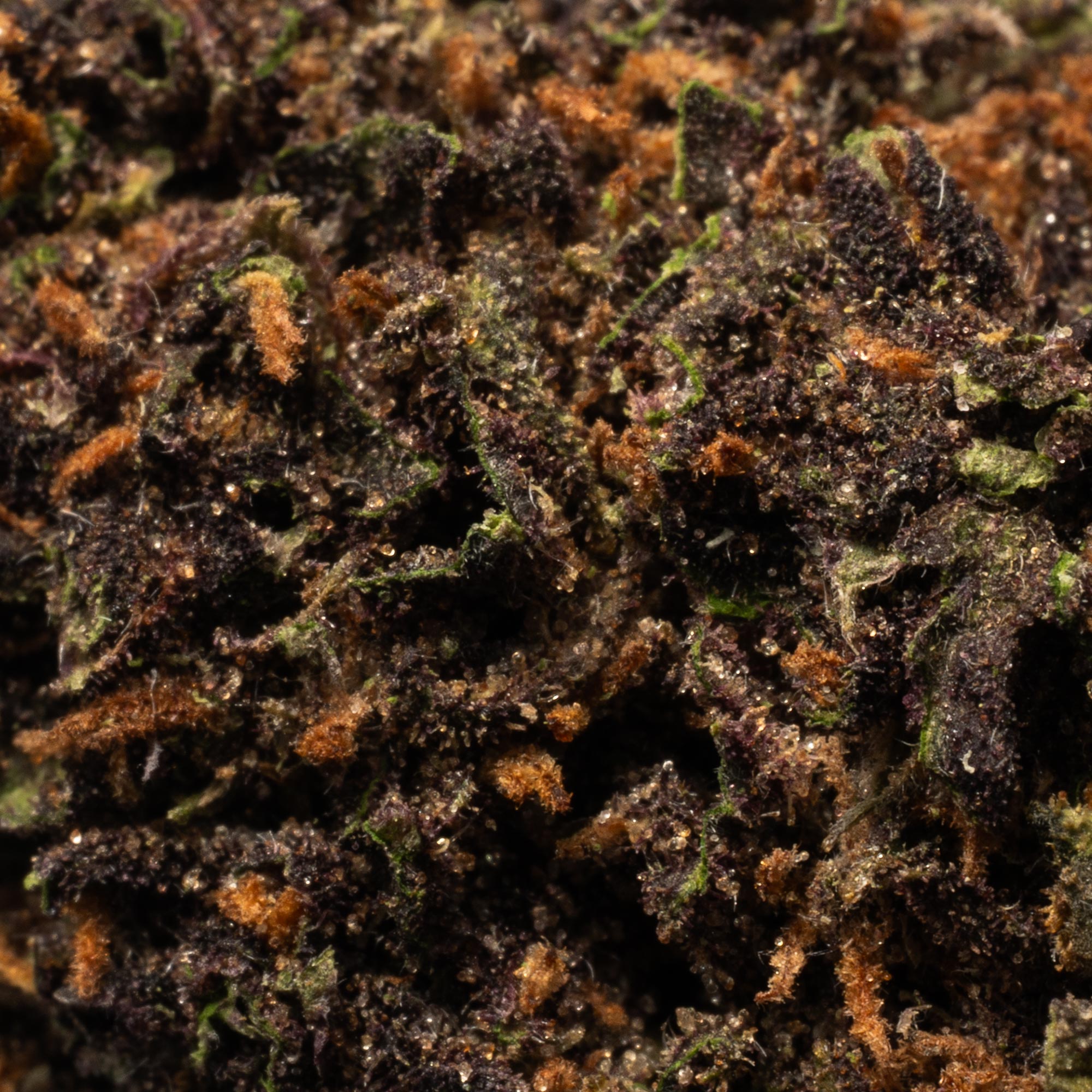 Forbidden Fruit (AA) - Image 4