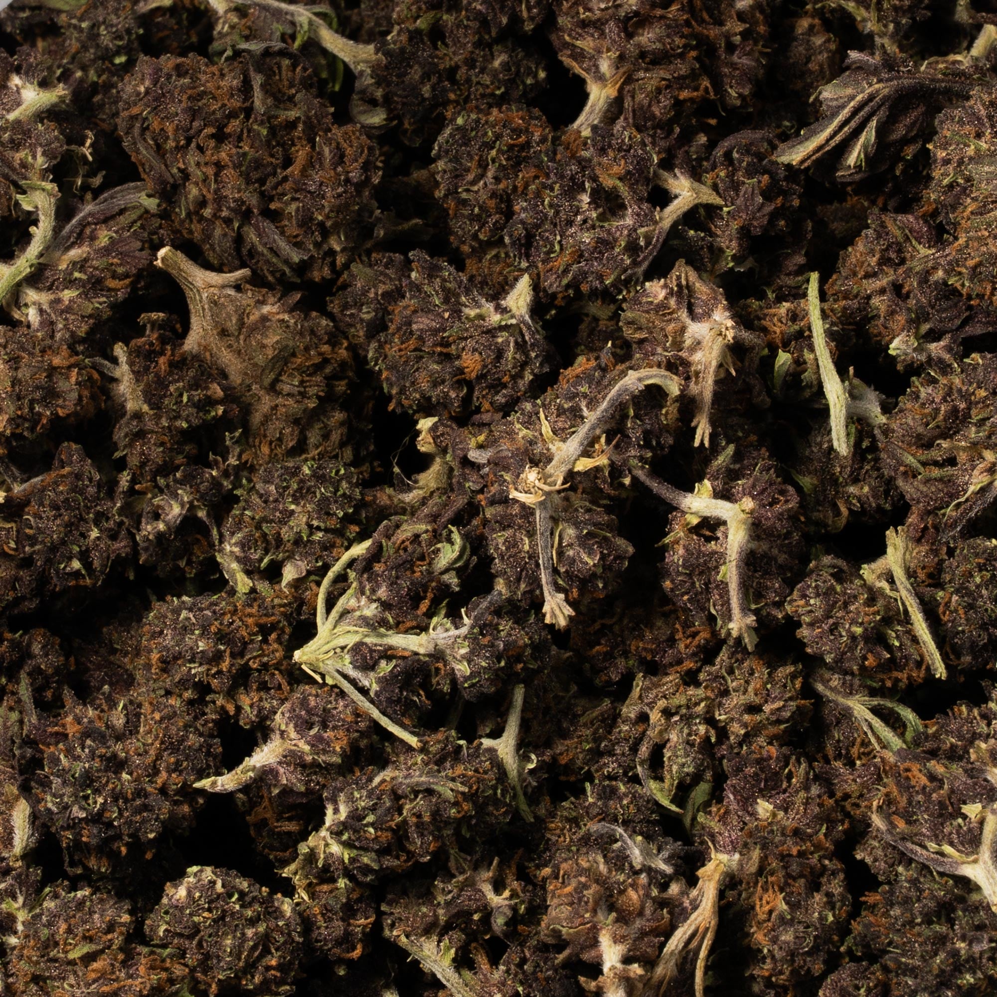 Forbidden Fruit (AA) - Image 5