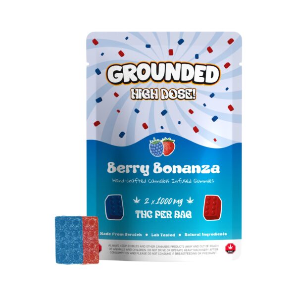 Grounded High Dose Bricks - Berry Bonanza 2000mg