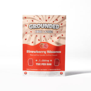 Alternative view of Grounded High Dose Bricks - Strawberry Hibiscus 1000mg