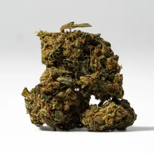 Alternative view of King Tut (AA)