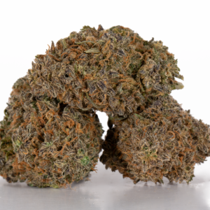 Alternative view of Mimosa (AAA)