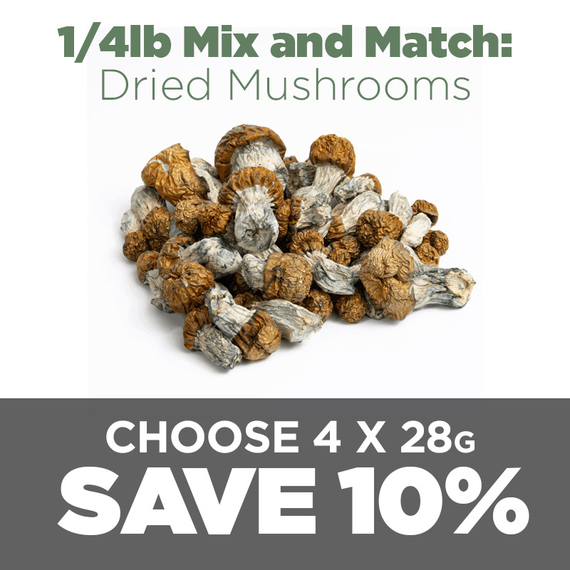 1/4lb Mix and Match Dried Mushrooms